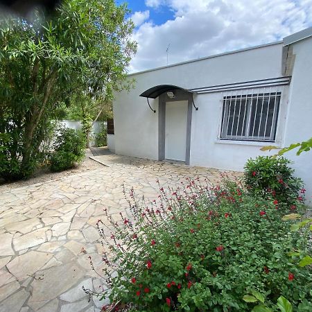 Jolie Villa Avec Jacuzzi Hopitaux Facultes Montpellier Zewnętrze zdjęcie